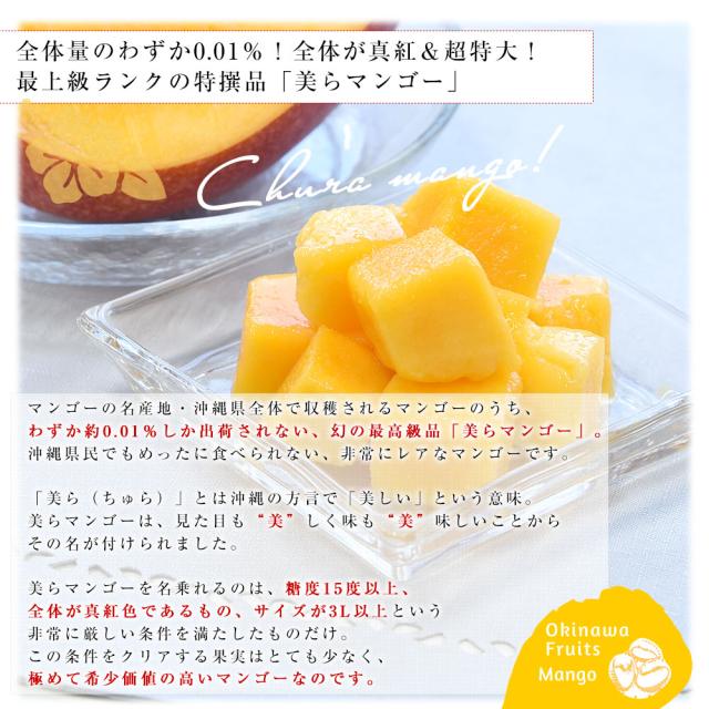 沖縄県より産地直送 JAおきなわ 美らマンゴー 最上級特A品 超大玉4Lから3Lサイズ 1キロ前後 (2玉入) 送料無料 from沖縄 沖縄マンゴー アップルマンゴー　お中元 ギフト【発送時期：カート内に記載しております】_2