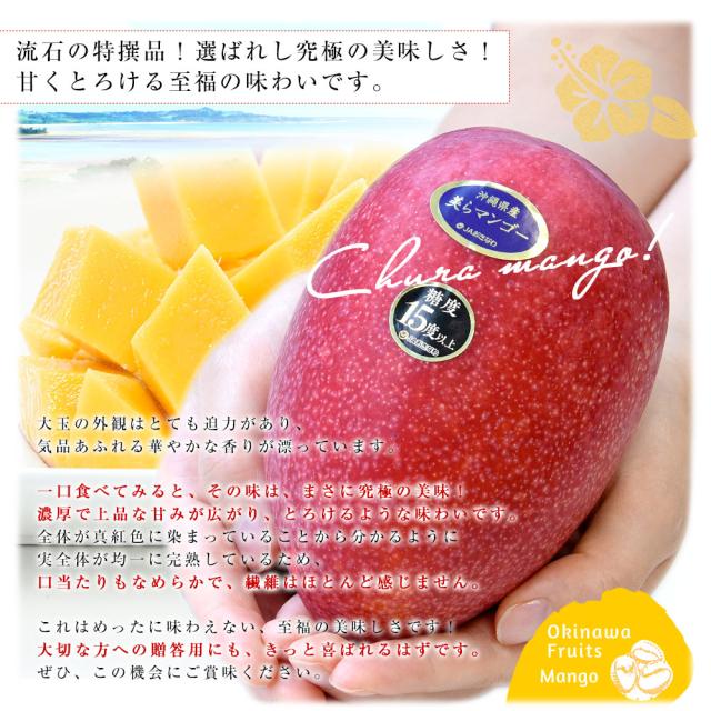 沖縄県より産地直送 JAおきなわ 美らマンゴー 最上級特A品 超大玉4Lから3Lサイズ 1キロ前後 (2玉入) 送料無料 from沖縄 沖縄マンゴー アップルマンゴー　お中元 ギフト【発送時期：カート内に記載しております】_4