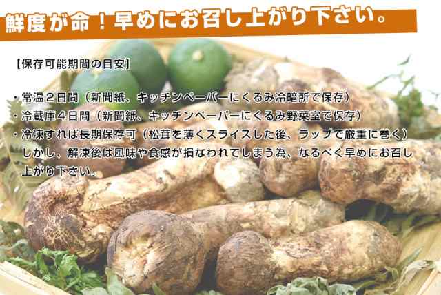 国産松茸214g ④送料無料-