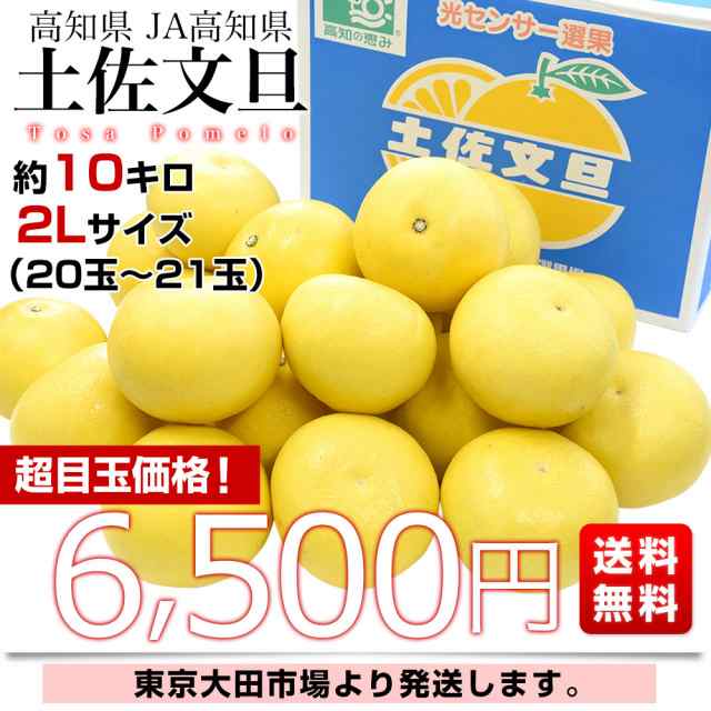 木造 1281-26 【高知県産】文旦 約10キロ - 通販