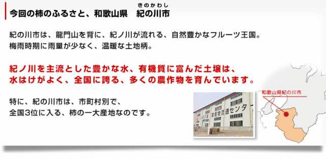 和歌山県より産地直送 JA紀の里 紀の川柿（黒あま）約2キロ(8玉から9玉) 送料無料 カキ かき 柿 ギフトの通販はau PAY マーケット - 産直 だより