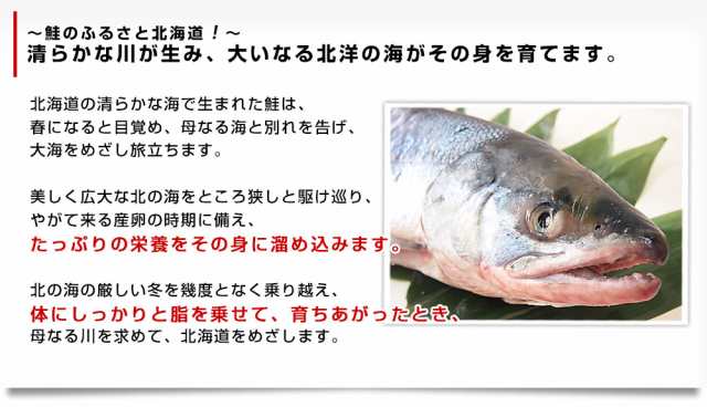 北海道から産地直送　北海道産　新巻き鮭（甘塩）　まるごと1尾　2キロ 送料無料　さけ　サケ　お歳暮　御歳暮　ギフトの通販は