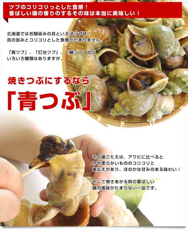 北海道産 焼きつぶ用 青つぶ (あぶら処理済み・ボイル) Lから2Lサイズ