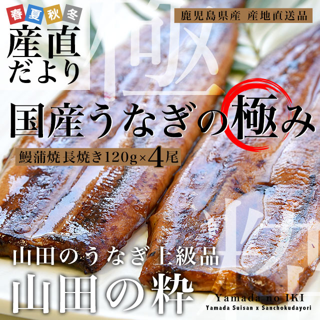 鹿児島県産 山田水産の極上国産うなぎ蒲焼「山田の粋（やまだのいき）」長焼（120g×4尾）送料無料 鰻蒲焼 ウナギ ※クール冷凍便 
