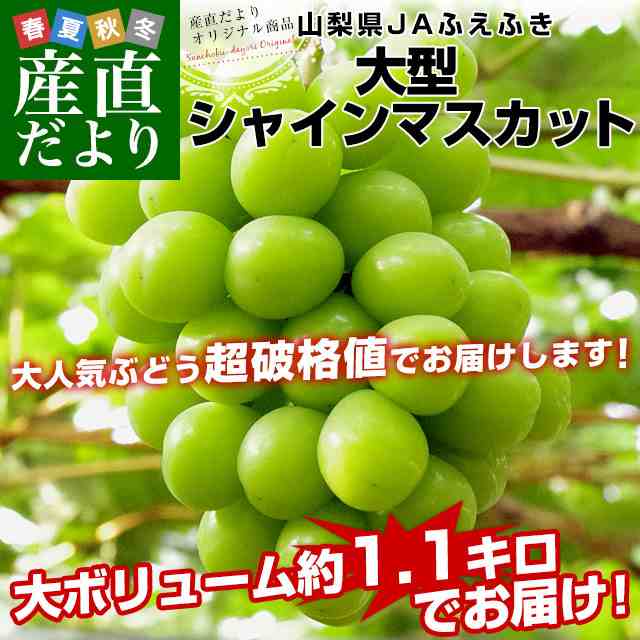 山梨県産 JAふえふき 大型シャインマスカット約1.1キロ（2房）送料無料