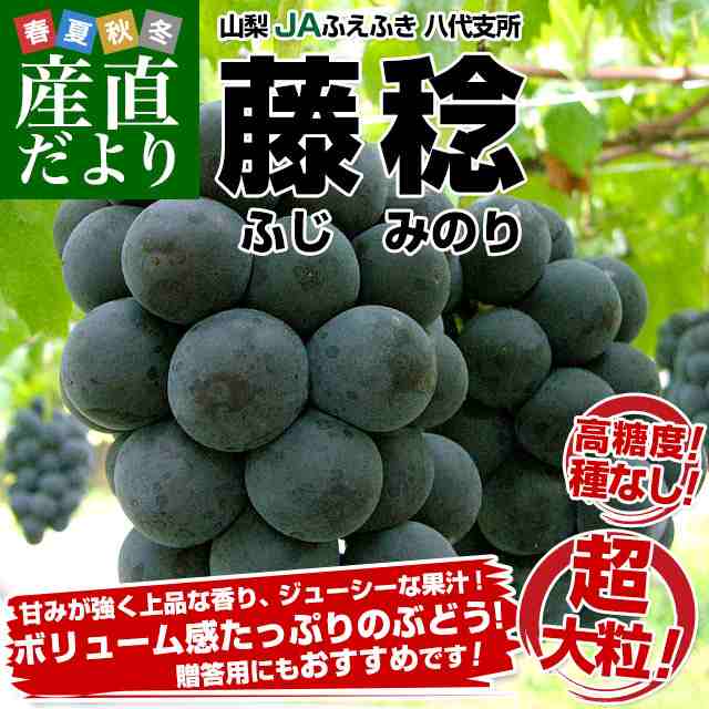 山梨県 JAふえふき 八代支所 藤稔(ふじみのり)約2キロ（3房から４房 ...