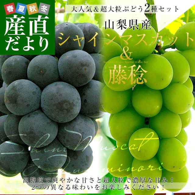 山梨県産 シャインマスカット＆藤稔 合計約1キロ(各1房入り) 送料無料 ぶどう ブドウ 葡萄 ぶどうセットの通販はau PAY マーケット  産直だより au PAY マーケット－通販サイト