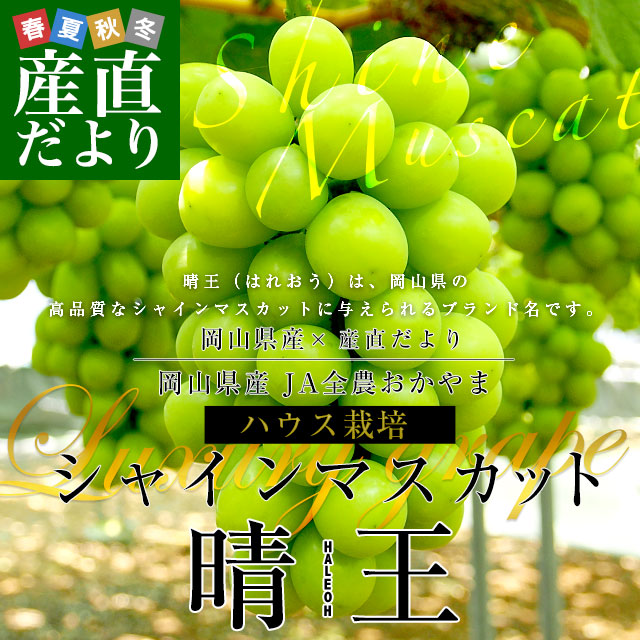 岡山県産　JA全農おかやま 高級ハウス栽培 シャインマスカット 晴王 青秀品 約1.2キロ(600g×2房) 送料無料 葡萄 ぶどう ブドウ クール便【発送時期：カート内に記載しております】