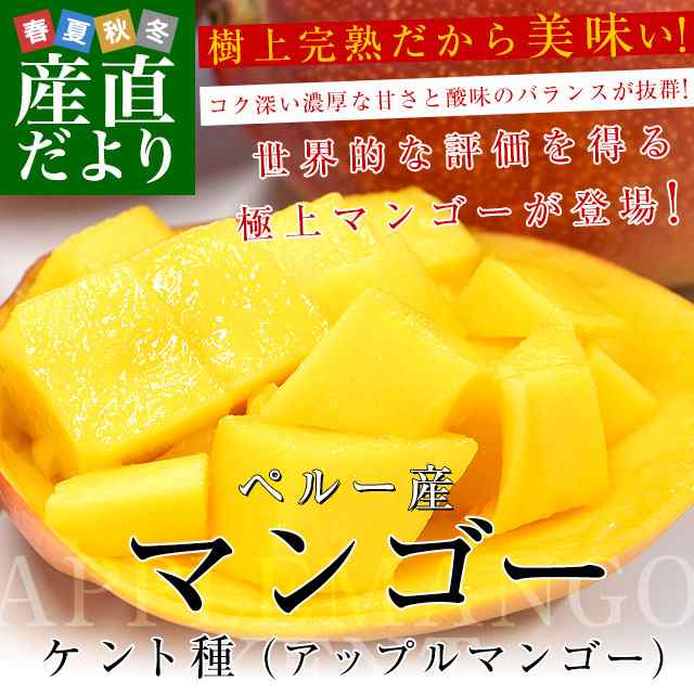 ペルー産アップルマンゴー　ケント種 約6キロ原体箱（12玉から14玉入） 送料無料 マンゴー トロピカルフルーツ