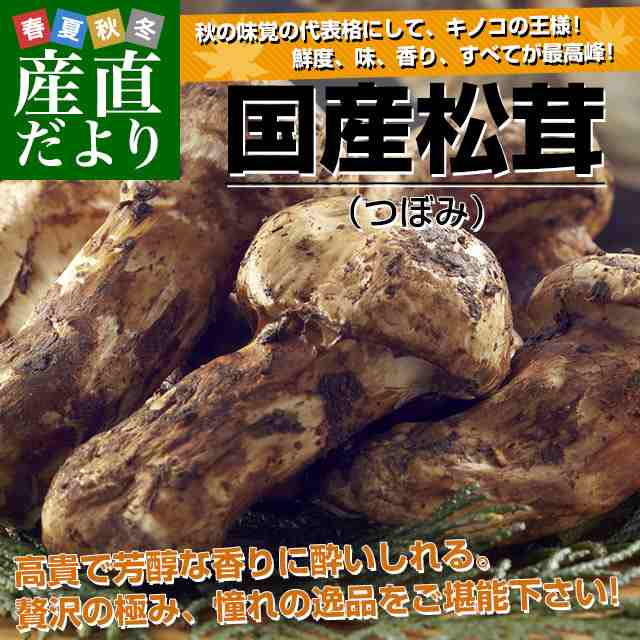 信州天然 松茸 国産 マツタケ 4本 - 野菜