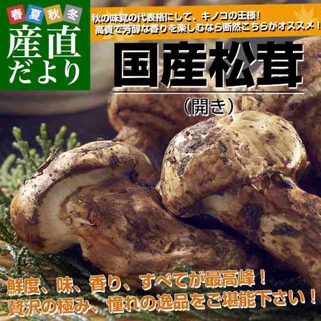 【中古品】岡山県産　極上蕾松茸４３０g１１月７日採取④ 野菜