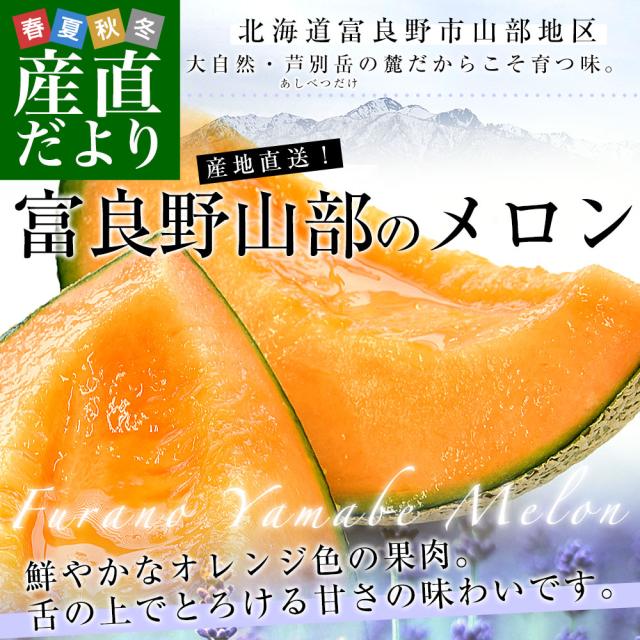 北海道から産地直送 富良野市山部地区 富良野山部のメロン 超大玉8キロ(4玉入）送料無料 富良野産メロン 北海道メロン ギフト【発送時期：カート内に記載しております】
