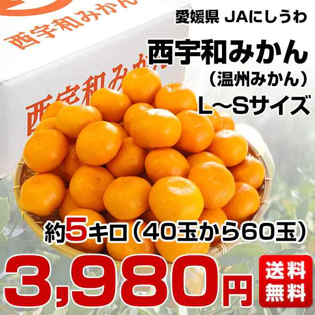 PAY　西宇和みかん　愛媛県より産地直送　蜜柑の通販はau　JAにしうわ　ミカン　LからSサイズ　送料無料　マーケット　5キロ　マーケット－通販サイト　au　(約40から60玉)　産直だより　PAY