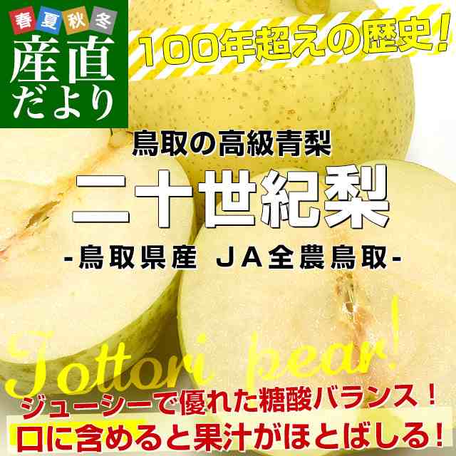 鳥取県産 JA全農鳥取 二十世紀梨 約2キロ （5玉から6玉入り）大玉 送料無料 なし青梨の通販はau PAY マーケット - 産直だより ...