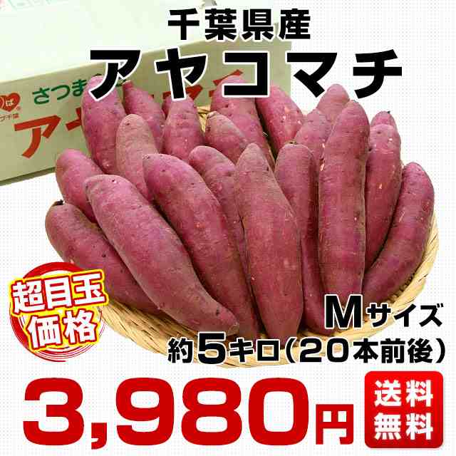 べにはるか 5KG Mサイズ A等級 千葉県産 さつまいも - 野菜