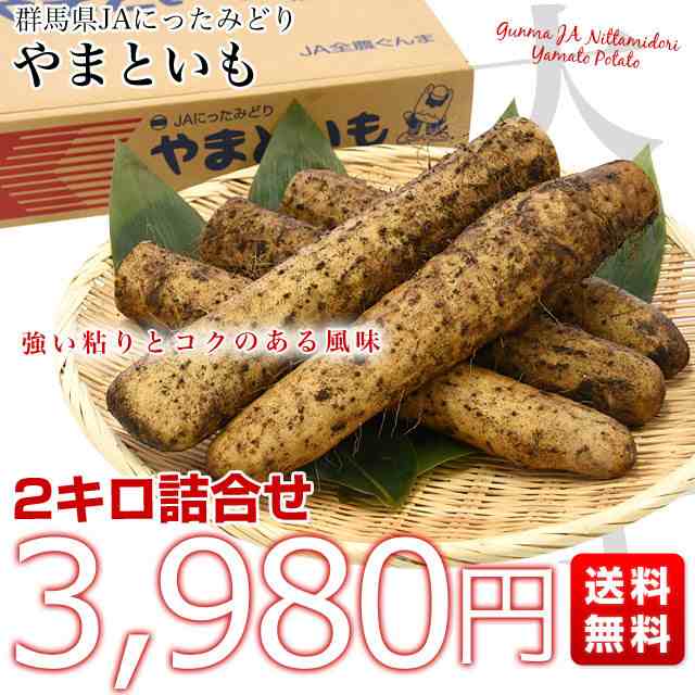 群馬県産 JAにったみどり やまといも 2キロ ヤマトイモ 大和芋 山芋 市場スポット 無料で配送