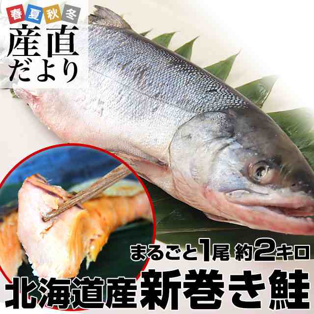 北海道から産地直送　北海道産　新巻き鮭（甘塩）　まるごと1尾　2キロ 送料無料　さけ　サケ　お歳暮　御歳暮　ギフトの通販はサケ