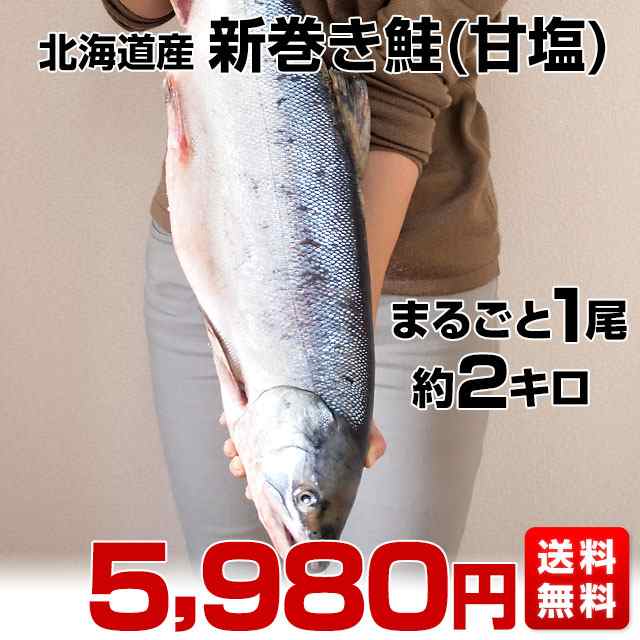 北海道から産地直送　北海道産　新巻き鮭（甘塩）　まるごと1尾　2キロ 送料無料　さけ　サケ　お歳暮　御歳暮　ギフトの通販は
