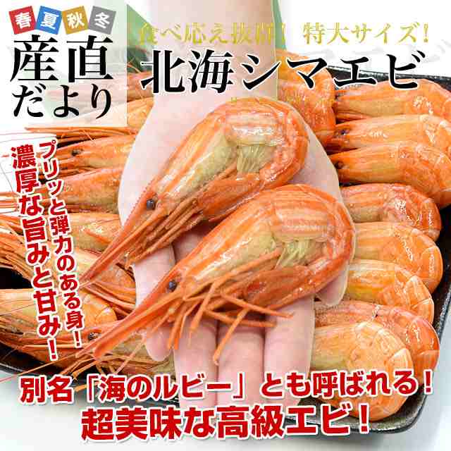 送料無料　au　特大　500ｇ(20尾前後)　エビの通販はau　ロシア産　Ｌサイズ　縞えび　PAY　しまえび　北海道より直送　マーケット　産直だより　北海シマエビ　PAY　マーケット－通販サイト