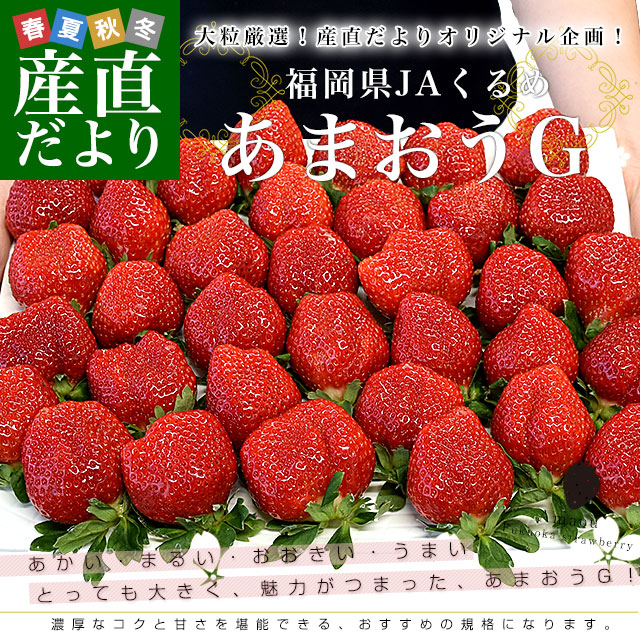 福岡県より産地直送 JAくるめ あまおうG 1キロ以上 約1080g（270g×4入り）計24粒から48粒 送料無料   from九州 苺 いちご あまおう イチゴ ストロベリーの通販は 5,561円