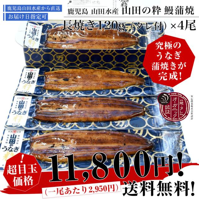 鹿児島県産 山田水産の極上国産うなぎ蒲焼「山田の粋（やまだのいき）」長焼（120g×4尾）送料無料 鰻蒲焼 ウナギ ※クール冷凍便 