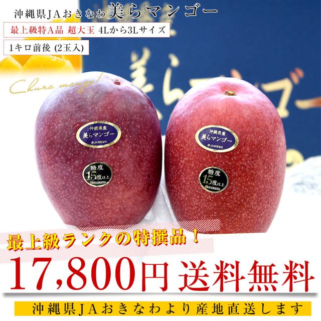 沖縄県より産地直送 JAおきなわ 美らマンゴー 最上級特A品 超大玉4Lから3Lサイズ 1キロ前後 (2玉入) 送料無料 from沖縄 沖縄マンゴー アップルマンゴー　お中元 ギフト【発送時期：カート内に記載しております】_1