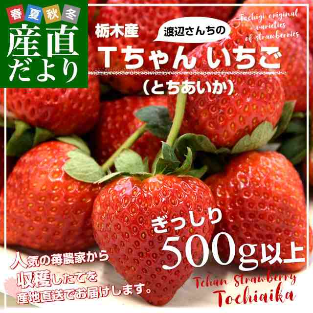 栃木県より産地直送 渡辺さんちのTちゃんいちご(とちあいか) 500g以上 ...
