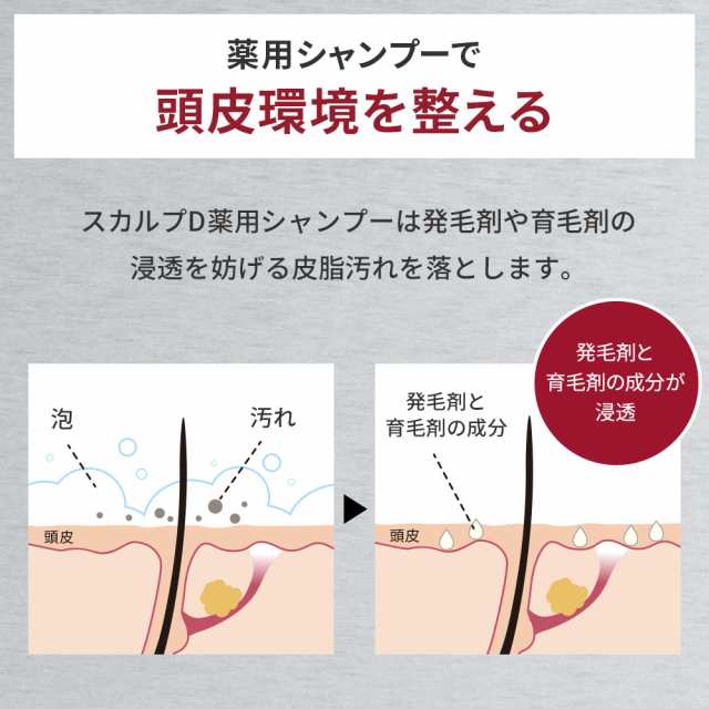 薬用シャンプー スカルプd 薬用スカルプシャンプー ドライ 乾燥肌用 育毛シャンプー シャンプー 男性用 シャンプー メンズ シャンプの通販はau Pay マーケット スカルプdのアンファーストア