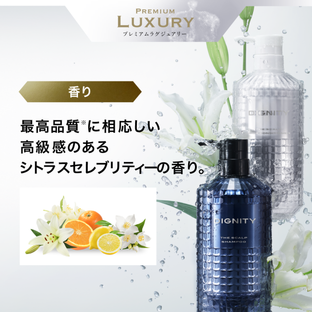 プレミアムシリーズ スカルプD ディグニティ ザ スカルプパックコンディショナー スカルプD アンファー アンファー 