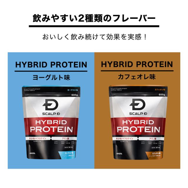 1.2㎏ スカルプD ハイブリッドプロテイン  カフェイン味 スカルプD ハイブリッドプロテイン（カフェオレ味）大容量 アンファー