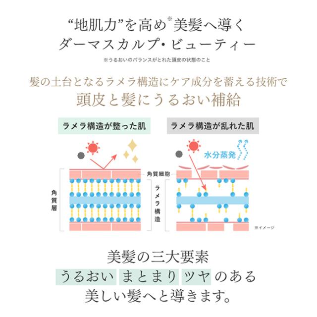 全額返金保証 送料無料 選べる4タイプ スカルプD ボーテ 薬用 シャンプー ＆ 薬用 トリートメント ｜スカルプd アンファーレディース_10