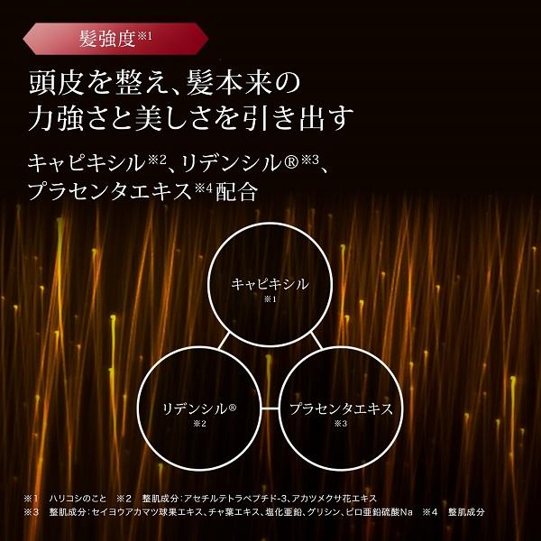 【送料無料】【2点セット】 スカルプD ボーテ   ディグニティ ザスカルプシャンプー/パックコンディショナー_7