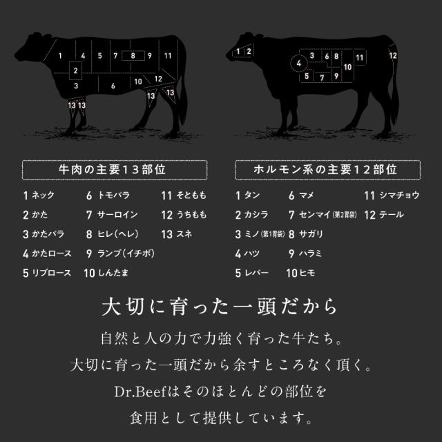 Dr.Beef 焼肉2種セット 合計1050g(ロース150g×3 切り落とし200g×3) 純日本産 グラスフェッドビーフ 国産 黒毛和牛 赤身 牛肉 焼き肉 お歳暮 ギフト 送料無料 焼肉2種セット 合計1.05kg（1050g）（ロース150g×3