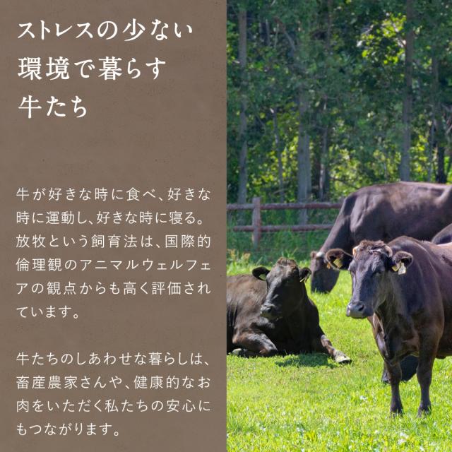 Dr.Beef 牛タン 1050g (150g×7) ドクタービーフ 純日本産グラスフェッドビーフ 黒毛和牛 グラスフェッドビーフ 赤身肉 赤身 牛肉 栄養豊富 高たんぱく 低カロリー お歳暮 送料無料agesugi_sgu_7
