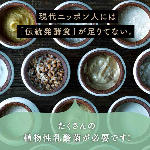 11種類の植物性100％乳酸菌飲料 美粉屋 ちょーぐると ななつの植物食ブレンド100g 乳酸菌ドリンク粉末 砂糖不使用 サプリメント サプリの通販はau  PAY マーケット - タマチャンショップ