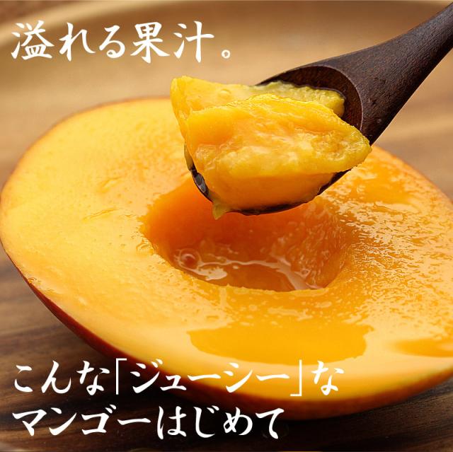 宮崎完熟マンゴー特大玉6玉　宮崎からお届けする南国の香り・とろける美味しさ 南国 フルーツ 果物 高級 個包装 ギフト 贈り物 プレゼント （※専用箱は別途ご購入ください）完熟 マンゴー 送料無料 お取り寄せギフト お取り寄せスイーツ 贈答用 プレゼント お中元 暑中見舞い_1