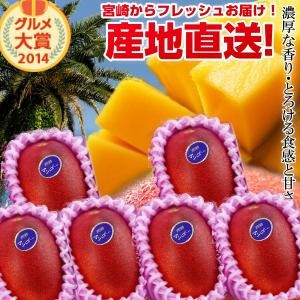 宮崎完熟マンゴー特大玉6玉　宮崎からお届けする南国の香り・とろける美味しさ 南国 フルーツ 果物 高級 個包装 ギフト 贈り物 プレゼント （※専用箱は別途ご購入ください）完熟 マンゴー 送料無料 お取り寄せギフト お取り寄せスイーツ 贈答用 プレゼント お中元 暑中見舞い