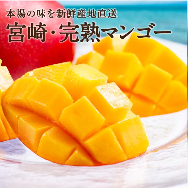 宮崎完熟マンゴー特大玉6玉　宮崎からお届けする南国の香り・とろける美味しさ 南国 フルーツ 果物 高級 個包装 ギフト 贈り物 プレゼント （※専用箱は別途ご購入ください）完熟 マンゴー 送料無料 お取り寄せギフト お取り寄せスイーツ 贈答用 プレゼント お中元 暑中見舞い_2