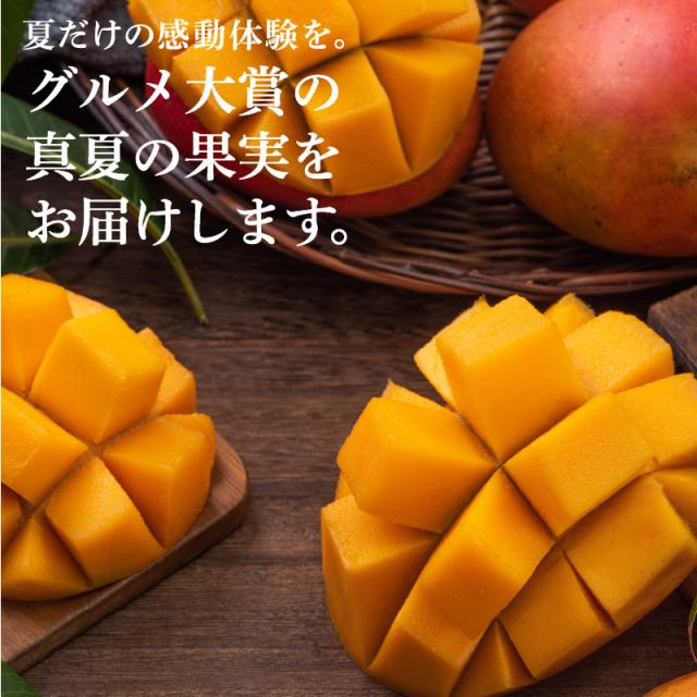 宮崎完熟マンゴー特大玉6玉　宮崎からお届けする南国の香り・とろける美味しさ 南国 フルーツ 果物 高級 個包装 ギフト 贈り物 プレゼント （※専用箱は別途ご購入ください）完熟 マンゴー 送料無料 お取り寄せギフト お取り寄せスイーツ 贈答用 プレゼント お中元 暑中見舞い_3