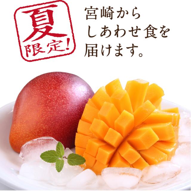宮崎完熟マンゴー特大玉6玉　宮崎からお届けする南国の香り・とろける美味しさ 南国 フルーツ 果物 高級 個包装 ギフト 贈り物 プレゼント （※専用箱は別途ご購入ください）完熟 マンゴー 送料無料 お取り寄せギフト お取り寄せスイーツ 贈答用 プレゼント お中元 暑中見舞い_4