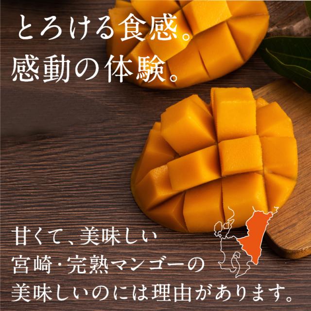 宮崎完熟マンゴー特大玉6玉　宮崎からお届けする南国の香り・とろける美味しさ 南国 フルーツ 果物 高級 個包装 ギフト 贈り物 プレゼント （※専用箱は別途ご購入ください）完熟 マンゴー 送料無料 お取り寄せギフト お取り寄せスイーツ 贈答用 プレゼント お中元 暑中見舞い_5