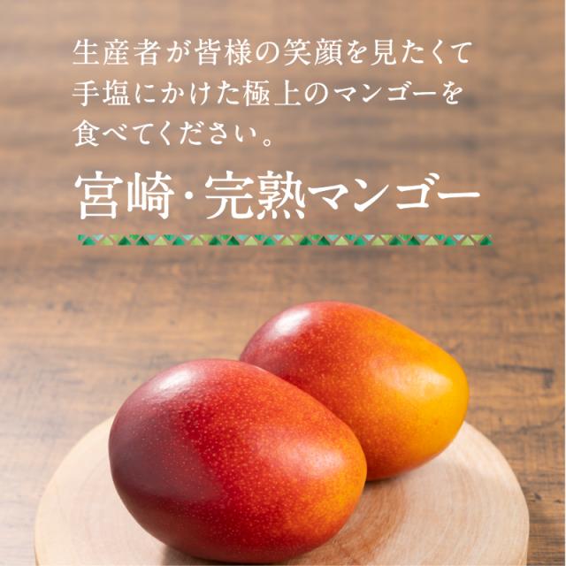 宮崎完熟マンゴー特大玉6玉　宮崎からお届けする南国の香り・とろける美味しさ 南国 フルーツ 果物 高級 個包装 ギフト 贈り物 プレゼント （※専用箱は別途ご購入ください）完熟 マンゴー 送料無料 お取り寄せギフト お取り寄せスイーツ 贈答用 プレゼント お中元 暑中見舞い_9