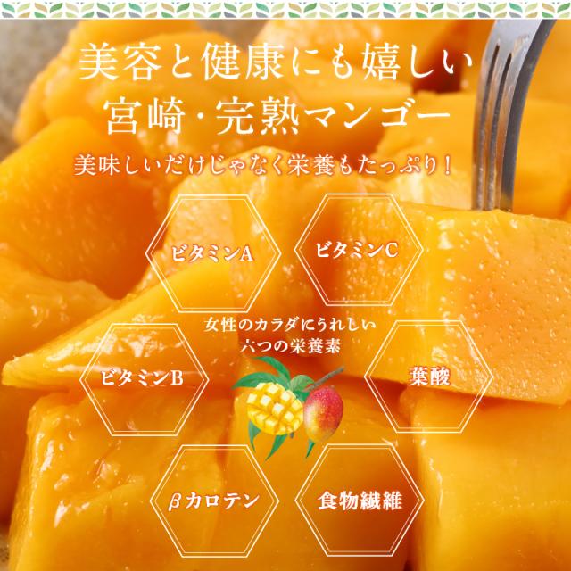 宮崎完熟マンゴー特大玉6玉　宮崎からお届けする南国の香り・とろける美味しさ 南国 フルーツ 果物 高級 個包装 ギフト 贈り物 プレゼント （※専用箱は別途ご購入ください）完熟 マンゴー 送料無料 お取り寄せギフト お取り寄せスイーツ 贈答用 プレゼント お中元 暑中見舞い_10