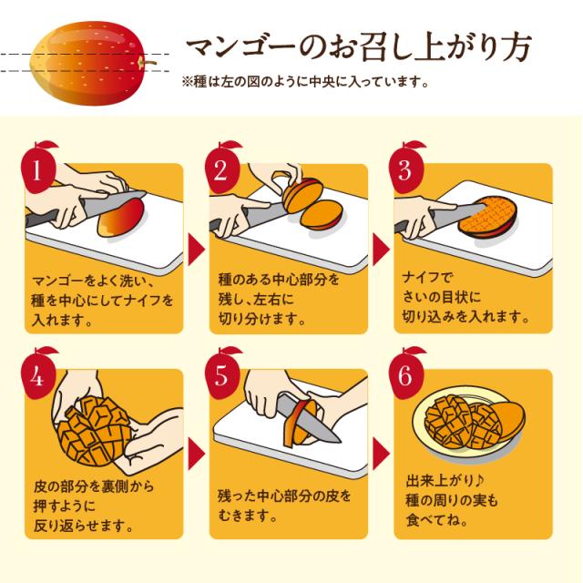 宮崎完熟マンゴー特大玉6玉　宮崎からお届けする南国の香り・とろける美味しさ 南国 フルーツ 果物 高級 個包装 ギフト 贈り物 プレゼント （※専用箱は別途ご購入ください）完熟 マンゴー 送料無料 お取り寄せギフト お取り寄せスイーツ 贈答用 プレゼント お中元 暑中見舞い_12