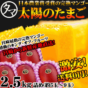 太陽のタマゴ 2.5kg詰め 最高級 フルーツ マンゴー 宮崎 送料無料 のし対応可能。（※専用箱は別途ご購入ください）厳しい基準を乗り越えた『香り・色艶・糖度』全てがプレミアムの宮崎の黄金フルーツ 太陽のタマゴ 果物 香り 糖度 ギフト お中元 お一人様2個まで