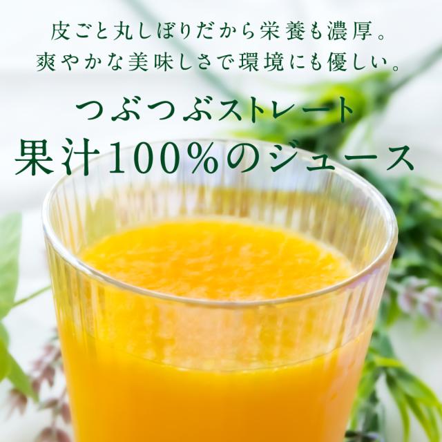 みかんジュース 果汁100% ストレート x12（みかん100 | 商品情報