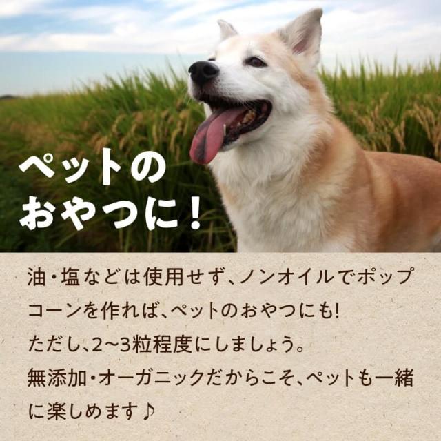 しあわせオーガニックポップコーン 150g ポップコーン お菓子 おやつ スイーツ お取り寄せグルメ ペット 有機ポップコーン 遺伝子組換えの通販はau Pay マーケット タマチャンショップ