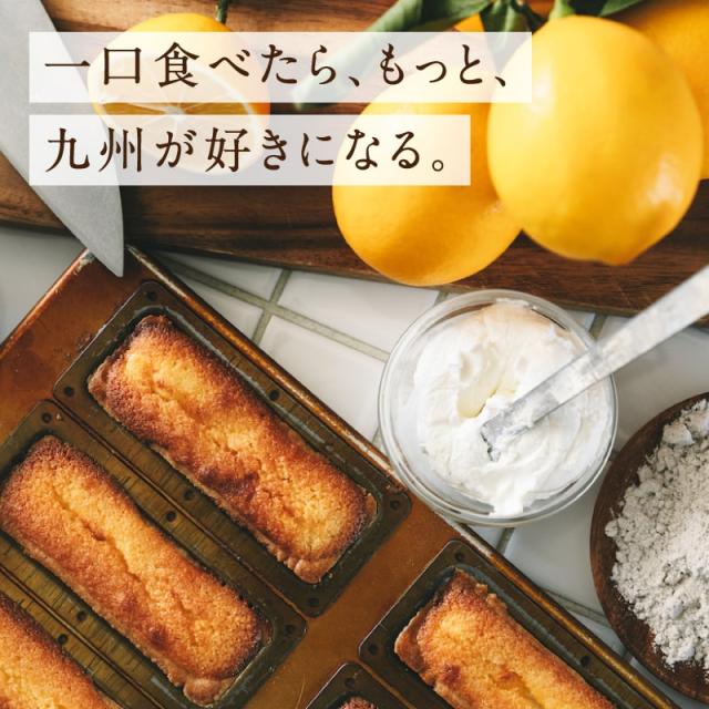 九州チーズタルト 10箱（1箱あたり5本入り） 甘さ控えめ 素材の良さ