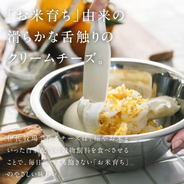 九州チーズタルト 10箱（1箱あたり５本入り） 甘さ控えめ 素材の良さ 引き出した チーズタルト 九州パンケーキ クール便 送料無料 ギフト お中元 スイーツ 宮崎 ご当地 チーズ タルト ケーキ 手土産 美味しい 人気 九州チーズタルト 10箱（1箱あたり5本入り） 甘さ控えめ 素材の良さ