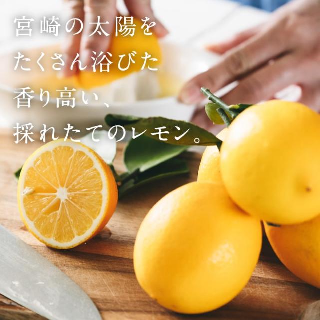 九州チーズタルト 10箱（1箱あたり5本入り） 甘さ控えめ 素材の良さ